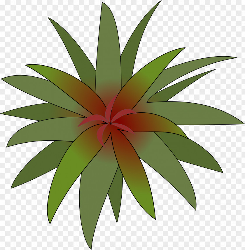 Flora Dog Flower Plant Clip Art PNG