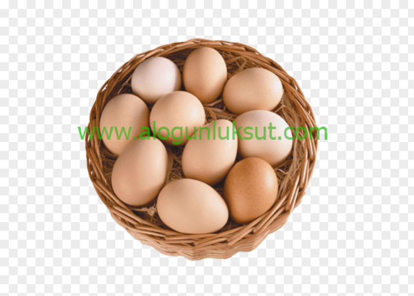 Koy Chicken Egg Brahma Food Service PNG