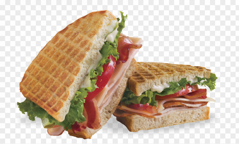 Sandwich Cheese Club Chicken Panini Fast Food PNG
