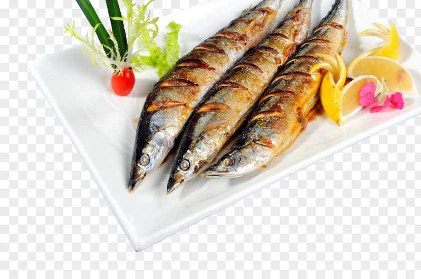 Barbecue Saury Material Pacific Seafood Japanese Cuisine Capelin PNG