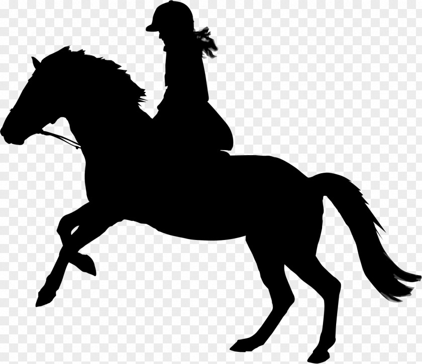 Mustang Vector Graphics English Riding Equestrian Illustration PNG