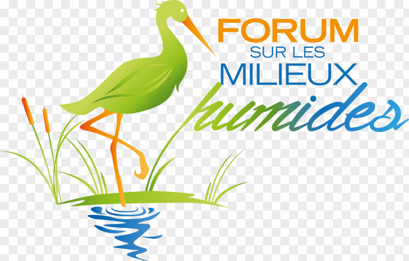 Bulletin Magazine Les Milieux Humides Wetland Logo Graphic Design Brand PNG