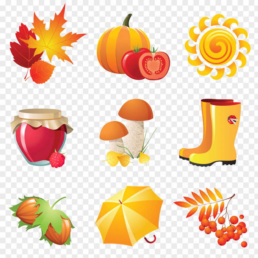 Creative Autumn Icon PNG