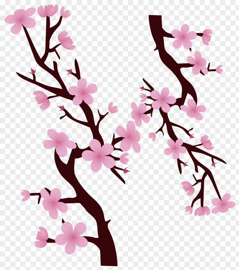 Decorative Pink Hand Painted Cherry Tree Branches National Blossom Festival PNG