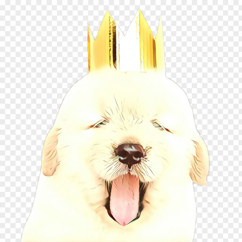 Ear Coton De Tulear Golden Retriever Background PNG