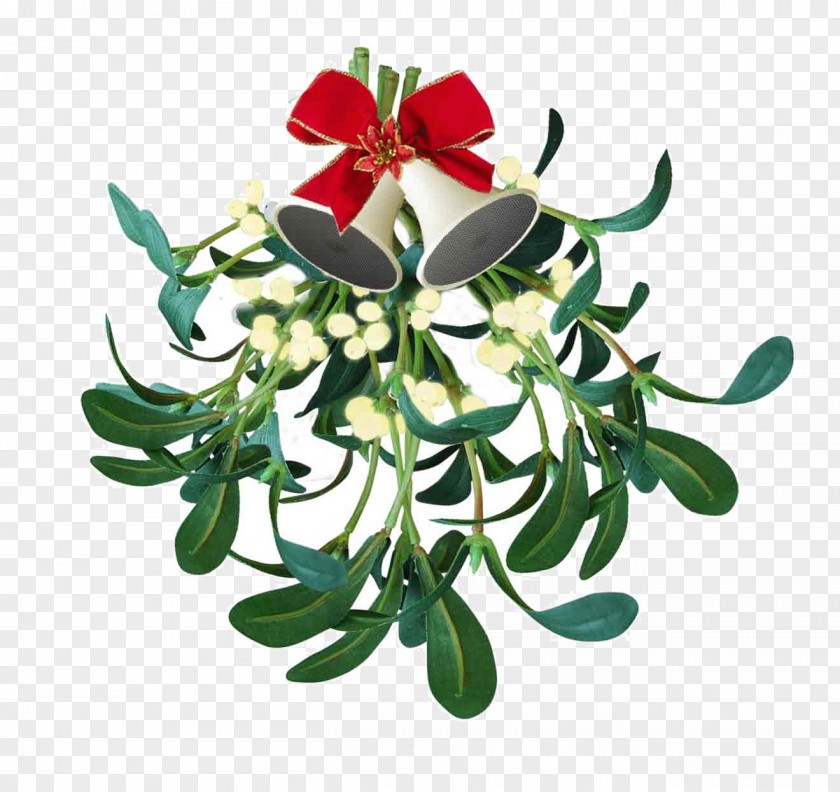 Mistletoe Kissing Traditions Phoradendron Tomentosum Christmas PNG
