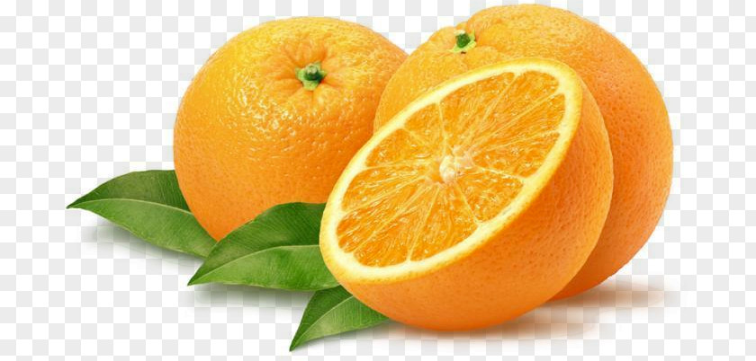 Orange Fruit Mandarin Vegetable Winter PNG