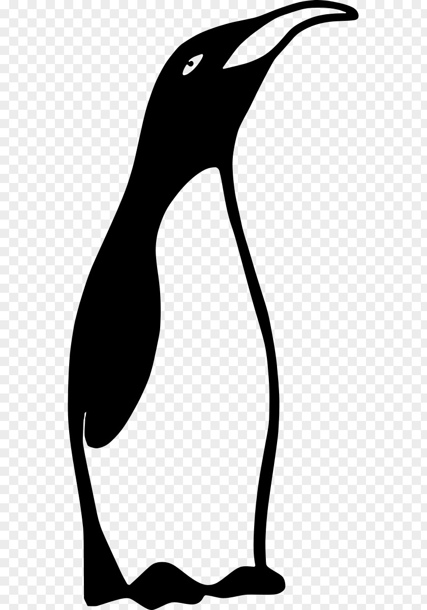 Pictures Of A Penguin Free Content Clip Art PNG