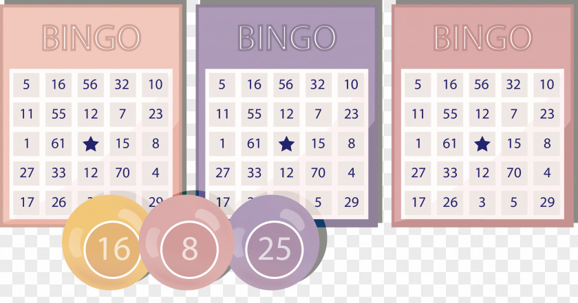 Bingo Cards Vector Illustration Card Lottery PNG