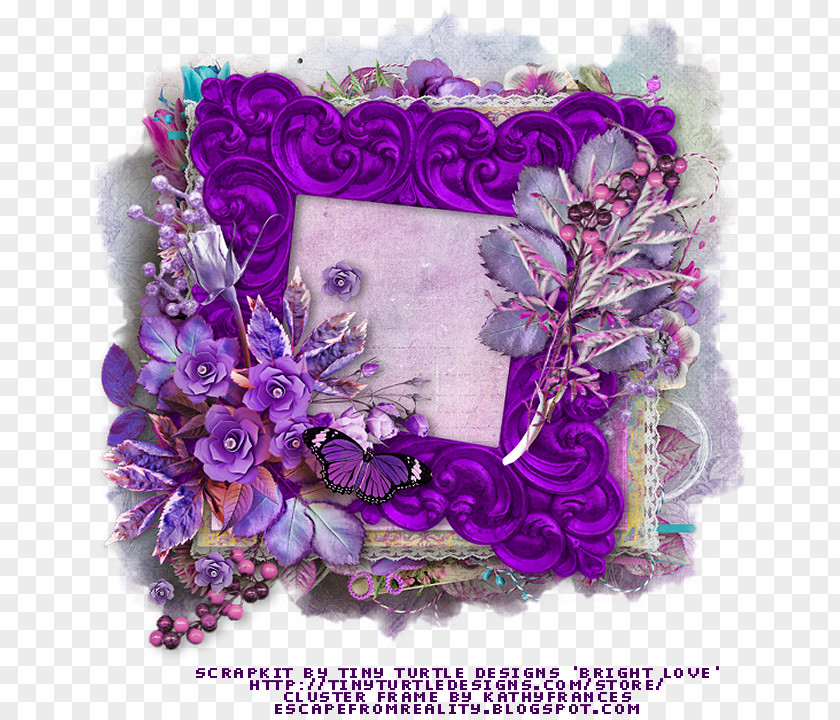 Bright Frames Floral Design Love Reality Feeling PNG