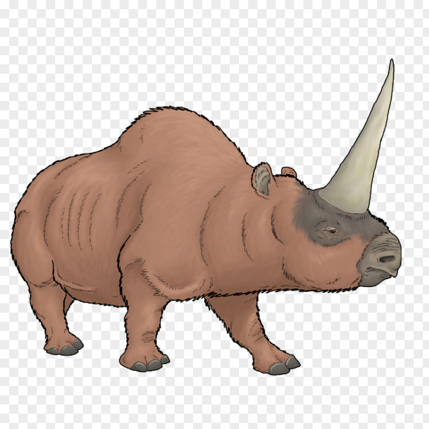Elasmotherium Sibiricum Horn Javan Rhinoceros Rhinocerotoidea PNG