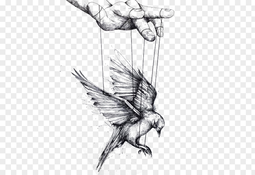 Puppet Eagle Illustration Italy Bird Drawing Illustrator PNG
