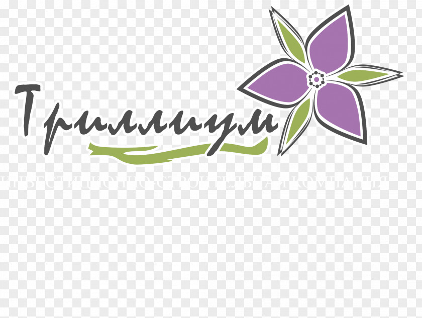 Www Logo M Ru Vyzov, Yuridicheskaya Firma Graphic Design Petal PNG