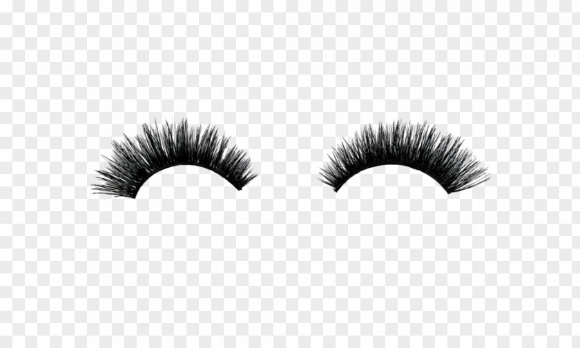 Ashokchakra Business Eyelash Extensions Lilly Lashes Artificial Hair Integrations PNG