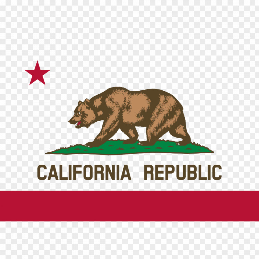 Flag California Republic Of Grizzly Bear PNG
