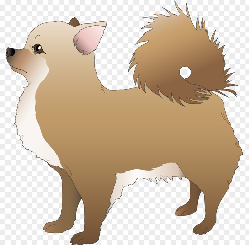 Puppy Dog Breed Chihuahua Illustration Clip Art PNG