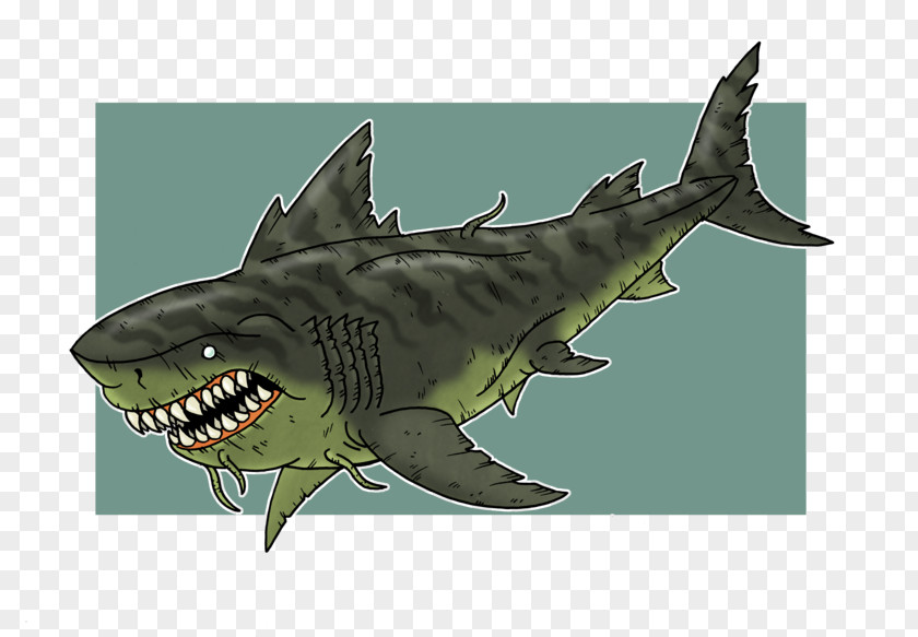 Tiger Shark DeviantArt Squaliform Sharks Artist PNG