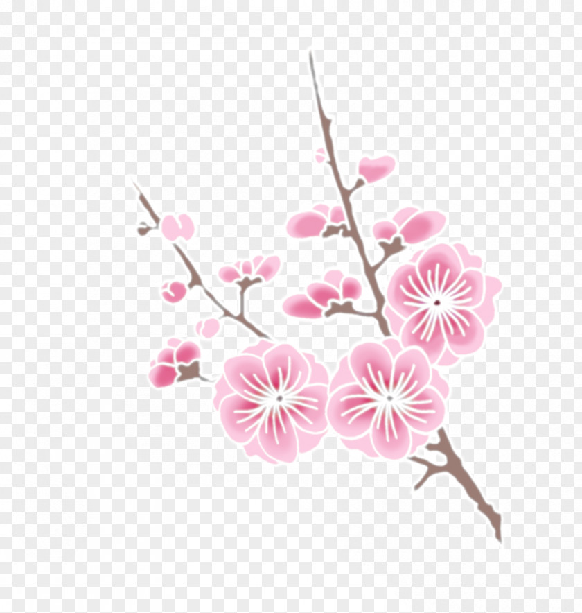Cherry Blossom Clipart Drawing Clip Art PNG
