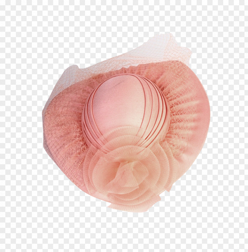 Folding Pink Hat Petal PNG