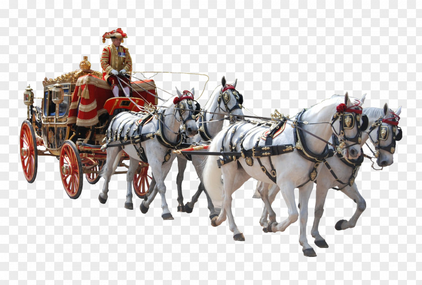 Horse Horse-drawn Vehicle Carriage Coach And Buggy PNG