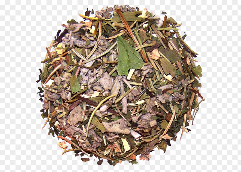 Oolong Tea Nilgiri Hōjicha Herb Spice Plant PNG