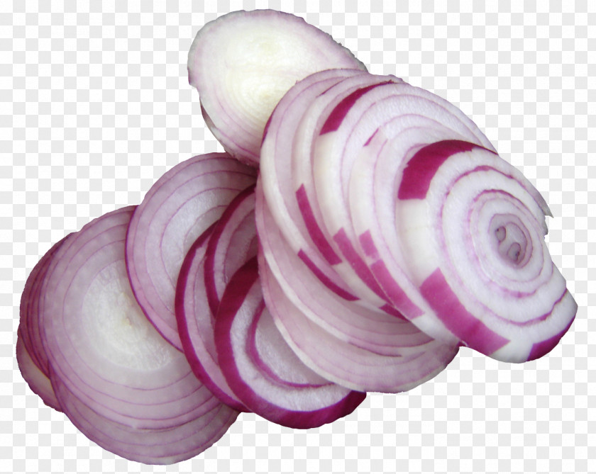 Sliced Onion Shallot Scallion Icon PNG