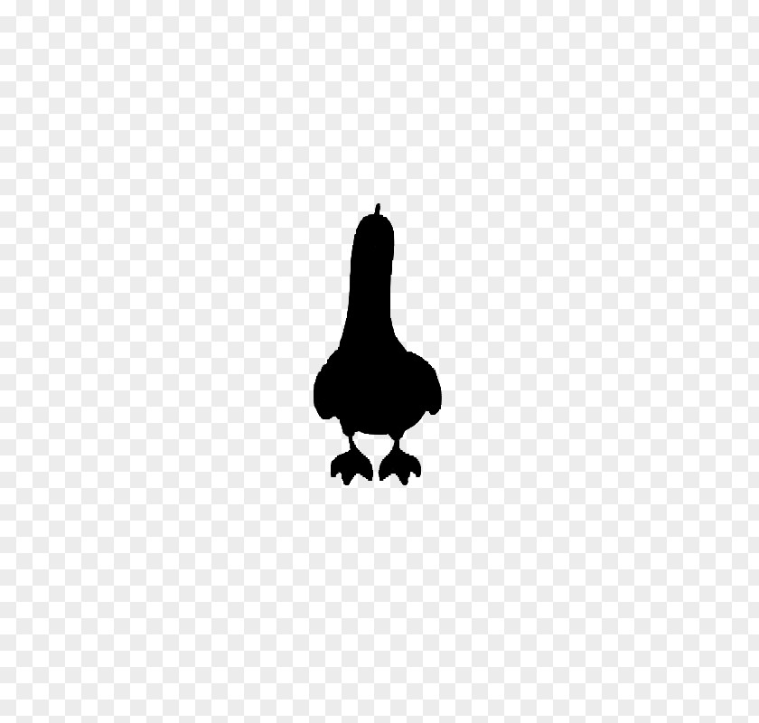 Bird Silhouette Cygnini Chicken Beak PNG