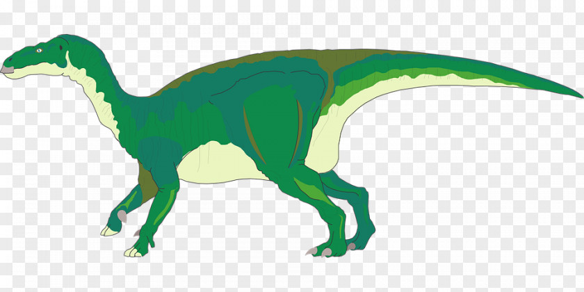 Dinosaur Iguanodon Tyrannosaurus Brachiosaurus Stegosaurus PNG