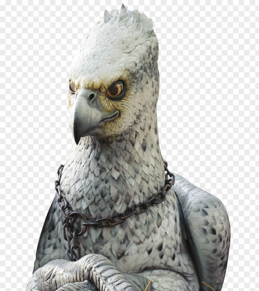 Harry Potter Characters Orlando Flight Of The Hippogriff™ Universal Studios Hollywood Legendary Creature (Literary Series) PNG