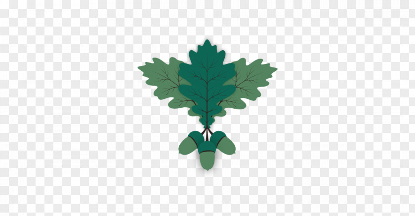 Leaf Clip Art PNG