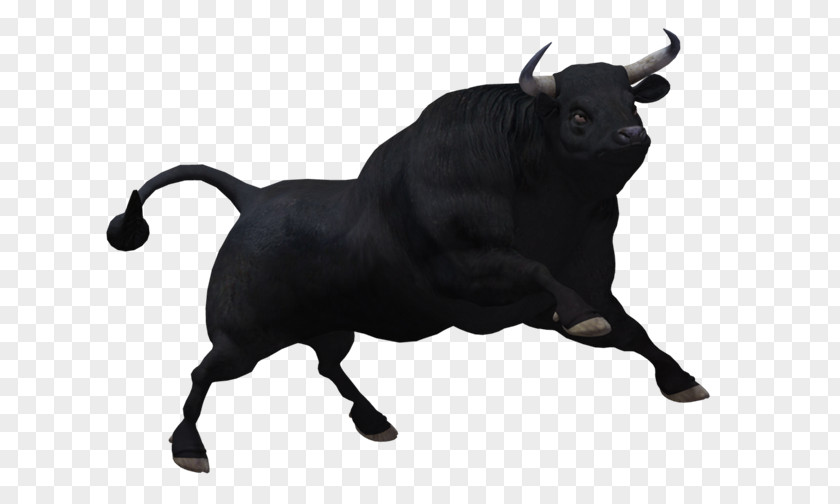 Toros Clip Art PNG