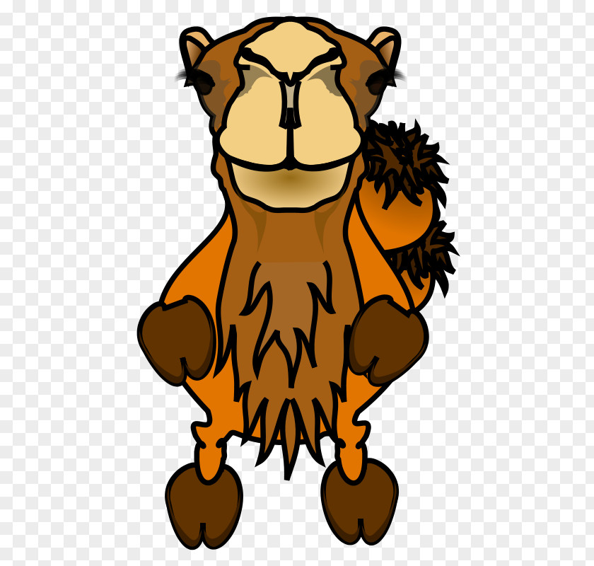 Bactrian Camel Comics Photography Clip Art PNG