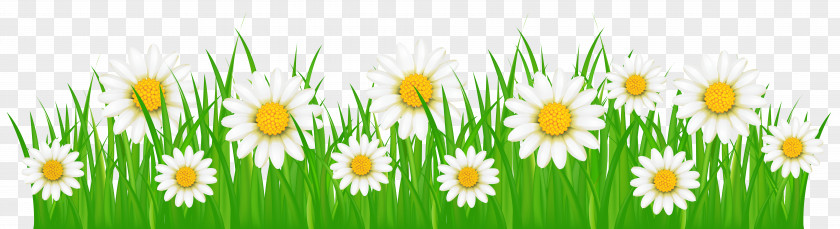 Flower Grass Cliparts Clip Art PNG