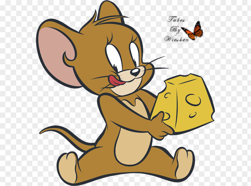 Mouse Jerry Tom Cat And Cartoon PNG