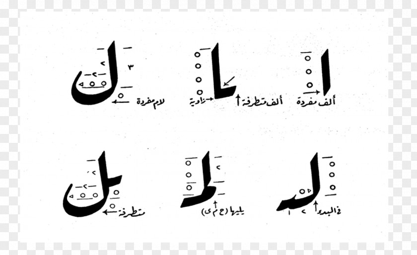 Sasha Banks Hair Colour Islamic Calligraphy Maghrebi Script Naskh Nastaʿlīq Ruqʿah PNG
