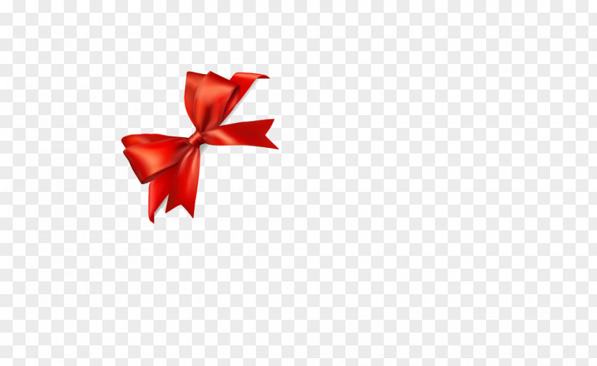 Bow Download PNG