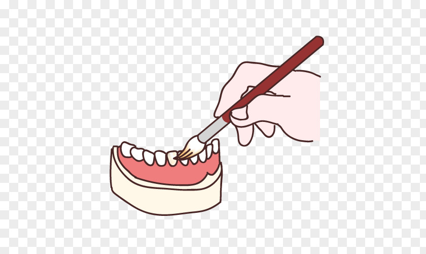 Dental Technician Tooth Dentures Dentistry PNG