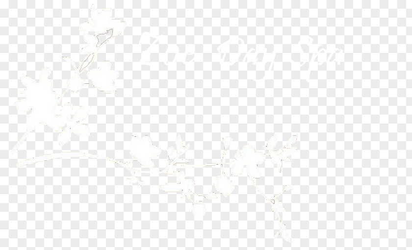 Line White Drawing /m/02csf PNG