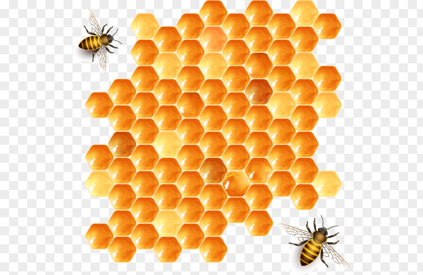 Vector Bee Beehive Honeycomb Honey PNG