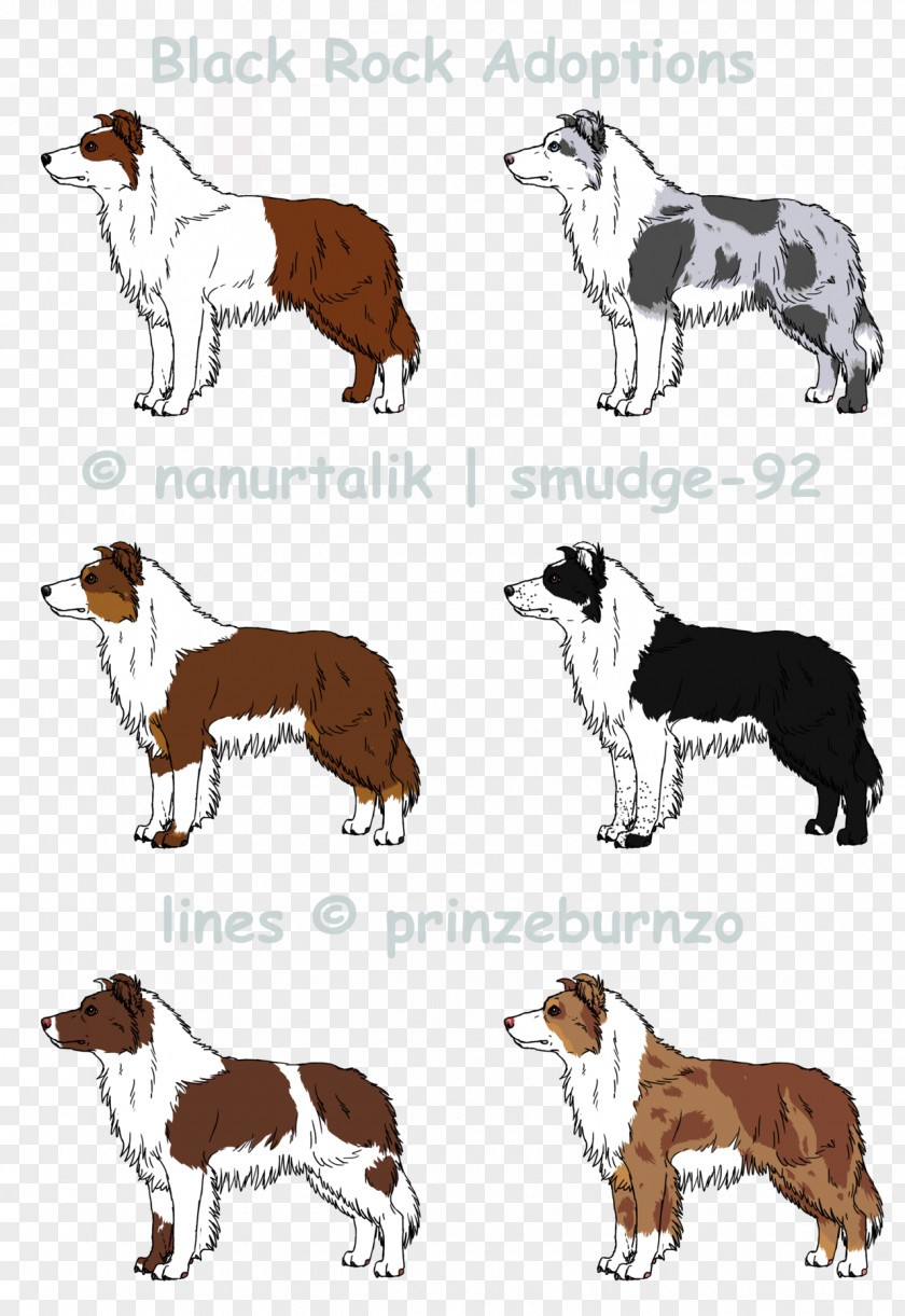 Border Collie Blue Merle Dog Breed Companion PNG
