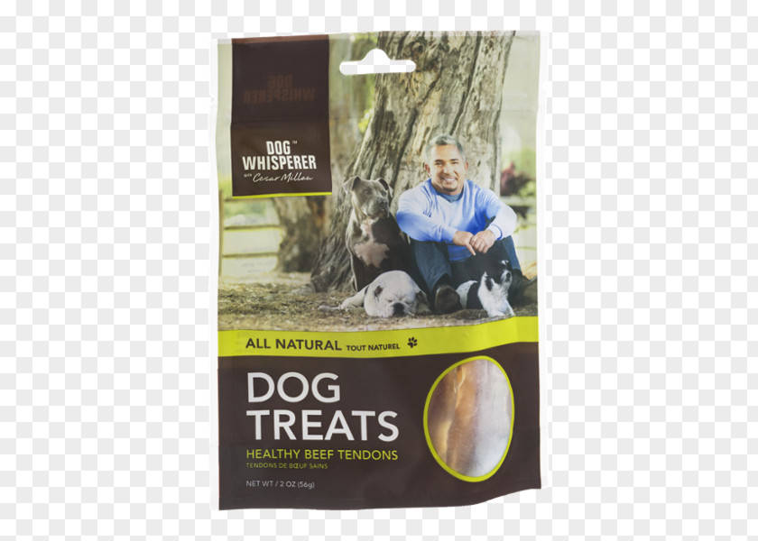 Dog Biscuit Pizzle Pet Food PNG