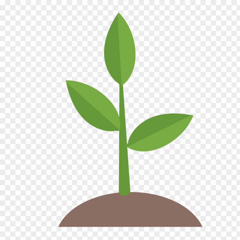 Germination Image Adobe Photoshop Vector Graphics PNG