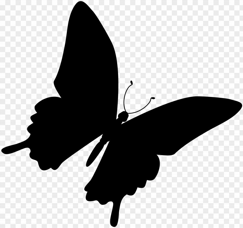 M Clip Art Silhouette Black Brush-footed Butterflies & White PNG