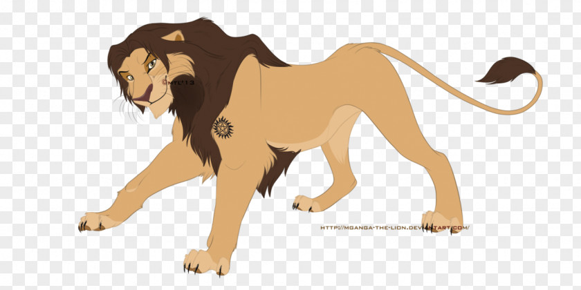 Sam Winchester Lion Big Cat Homo Sapiens PNG