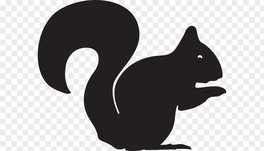 Squirrel Clip Art PNG