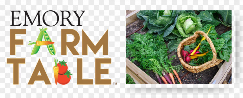 Vegetable Brand Emory University Promotional Merchandise PNG