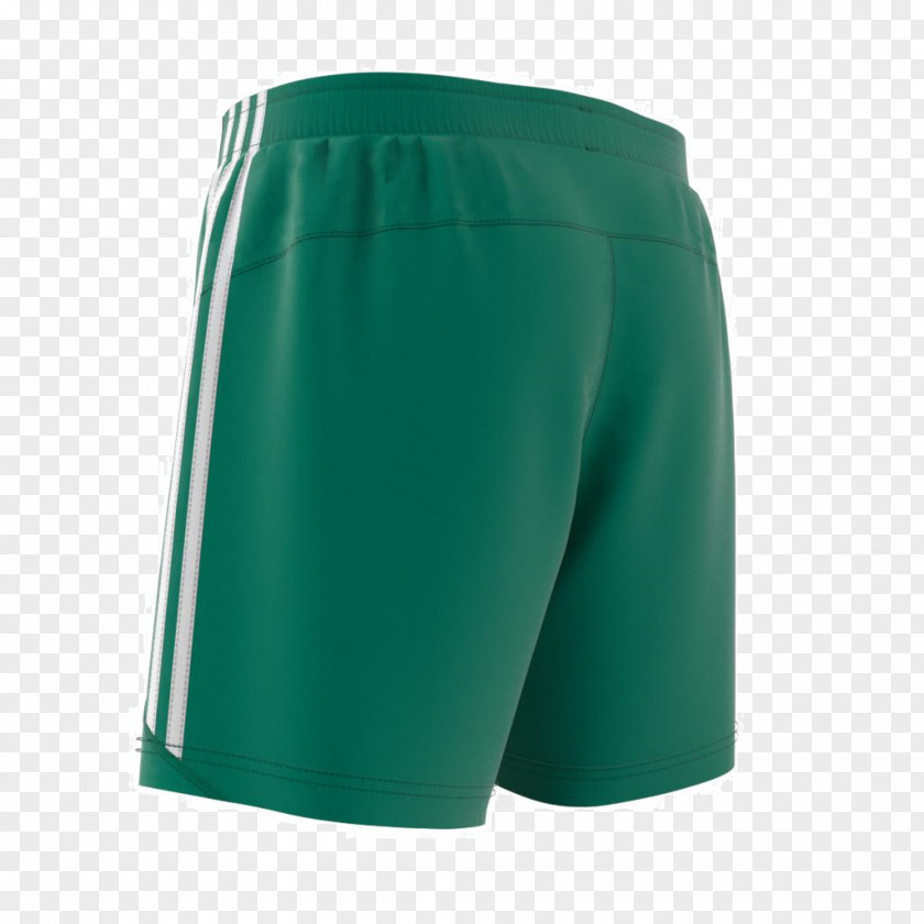 VITRAL Trunks Waist Shorts PNG