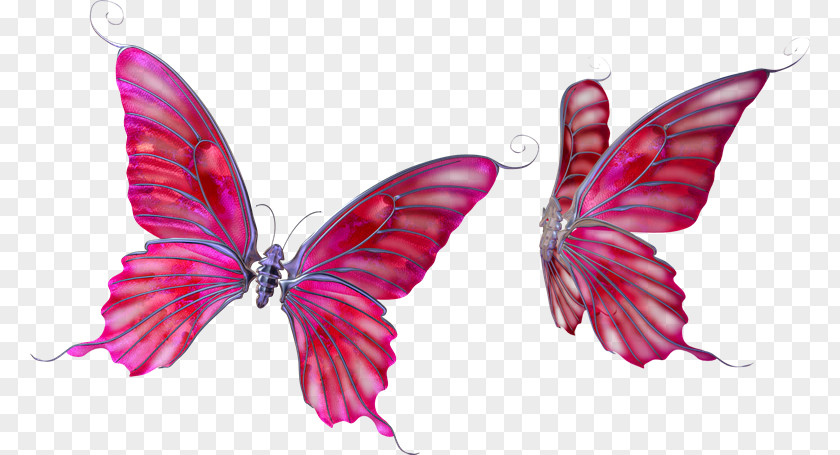 Butterfly Vector Psd Clip Art Image Drawing PNG