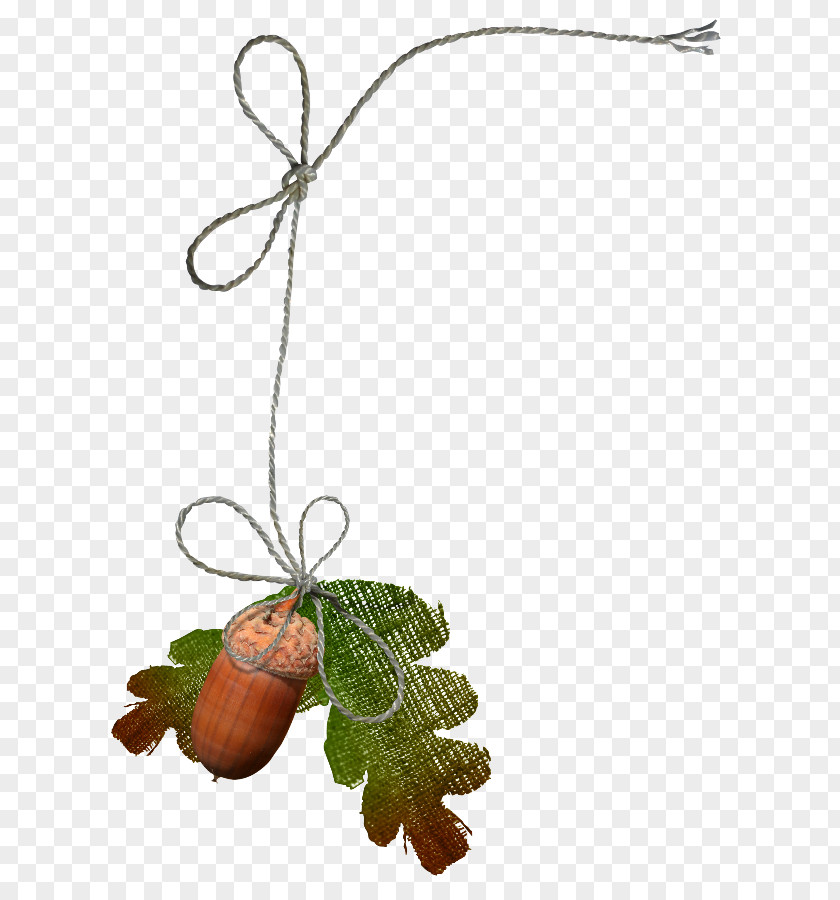 Leaf Clip Art PNG