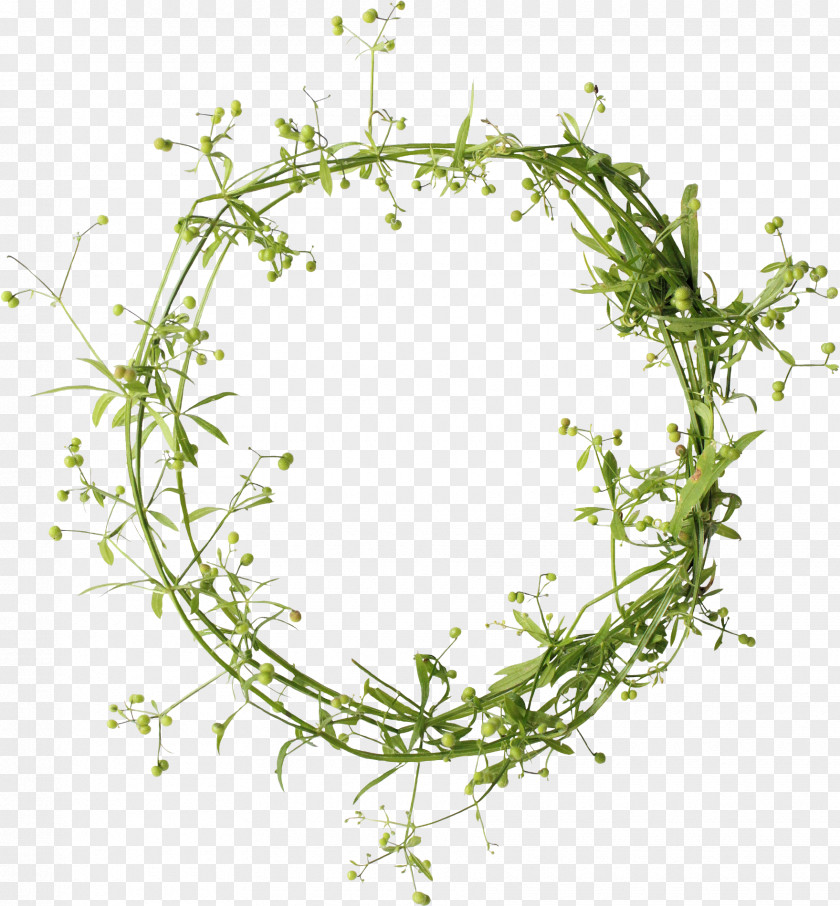 Parsley Wreath Clip Art PNG